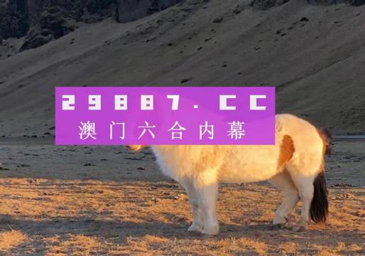 澳门今晚必开一肖一特,准确资料解释落实