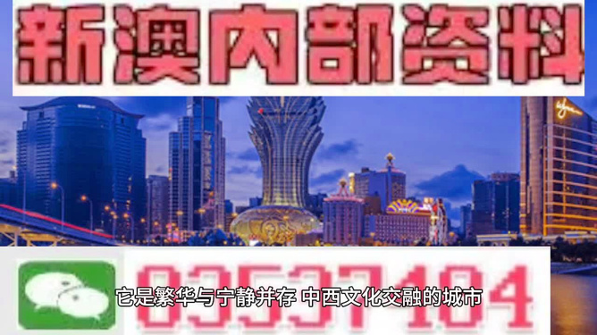 新澳门精准四肖期期中特公开,综合研究解释落实