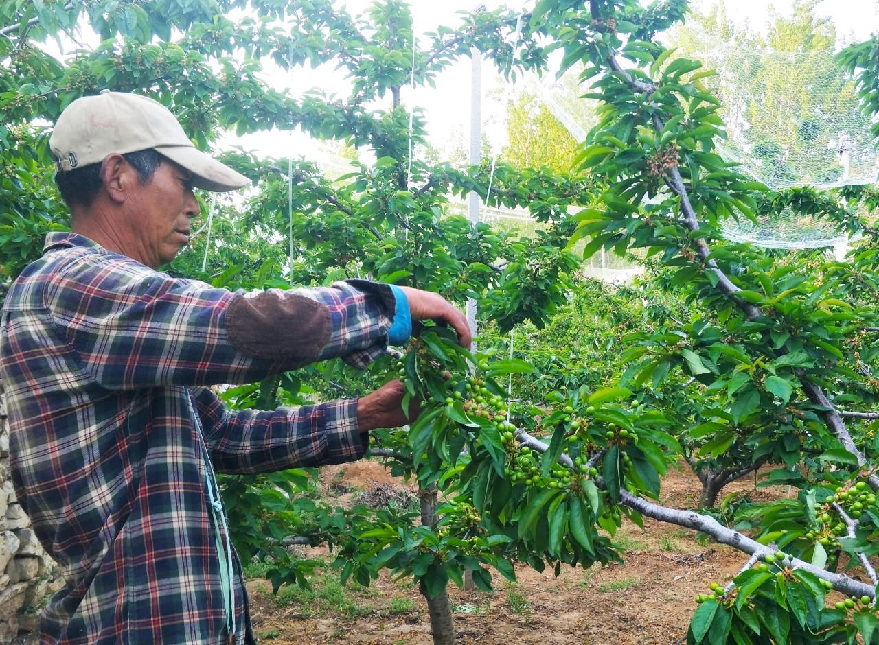 广东中红农业有限公司，农业领域的卓越典范