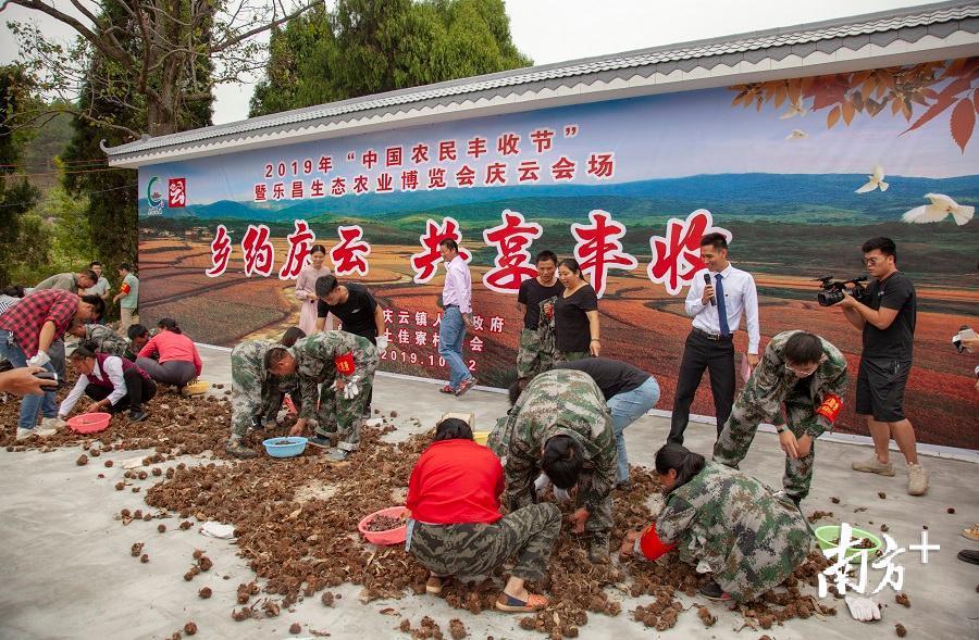 广东省乐昌市庆云镇，历史底蕴与现代风采的交融之地