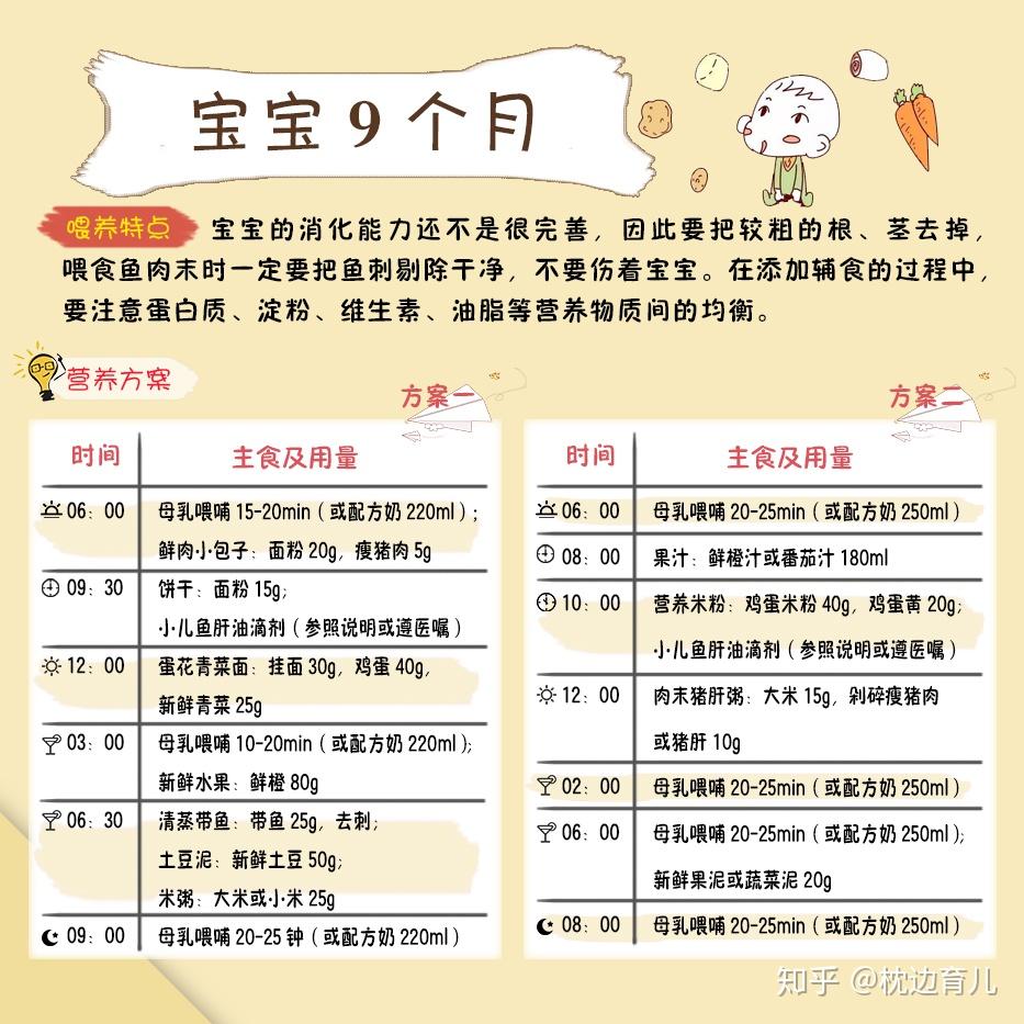 十个月宝宝的辅食安排，科学喂养指南