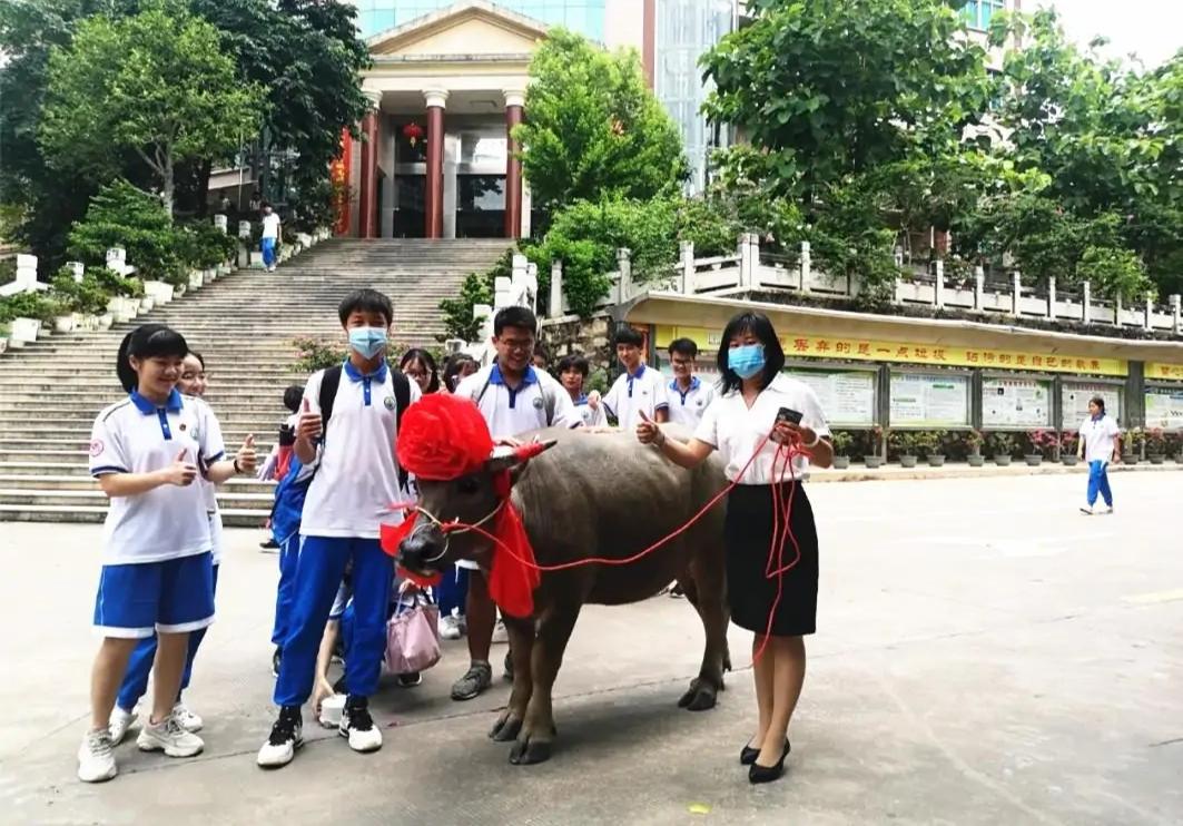 广东省高考考生号的重要性及其相关解析