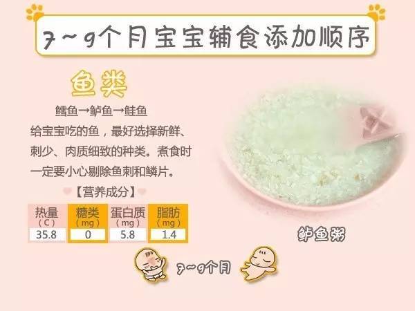 两个月婴儿食量探究